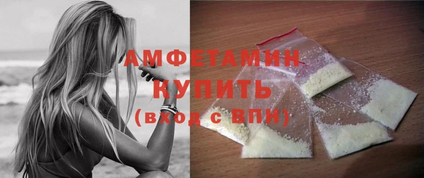 шишки Дмитров
