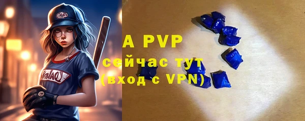 шишки Дмитров