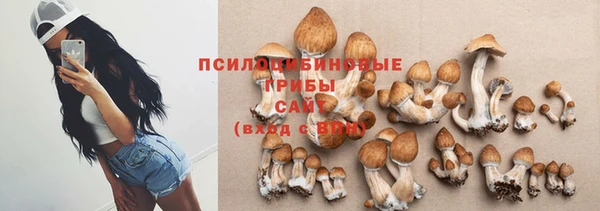 спайс Дмитровск