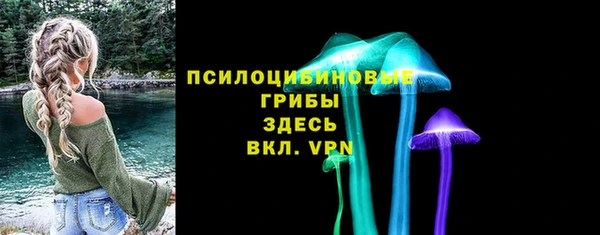спайс Дмитровск