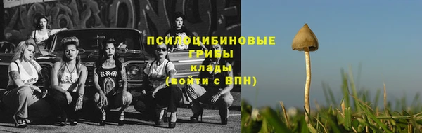 спайс Дмитровск