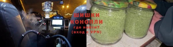 шишки Дмитров