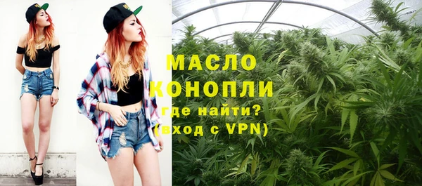 шишки Дмитров