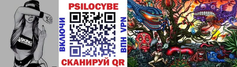 Псилоцибиновые грибы прущие грибы  Купить  Родники 